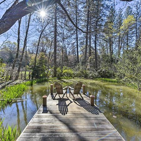 Peaceful Grass Valley Cottage With Bbq Grill And Yard! Ngoại thất bức ảnh